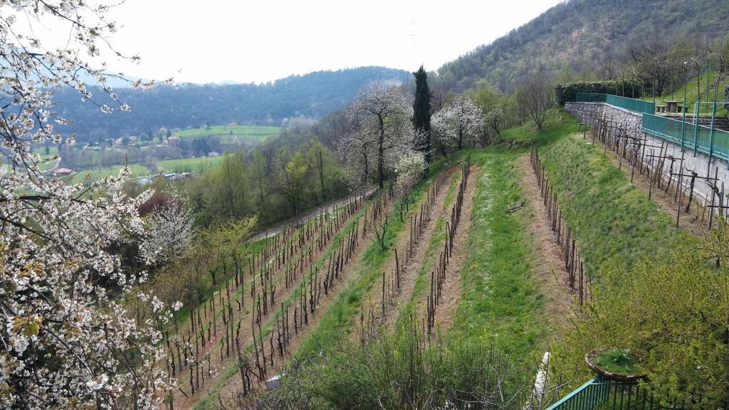特雷斯科勒·巴尔内阿尼奥Agriturismo Il Mirabile住宿加早餐旅馆 外观 照片