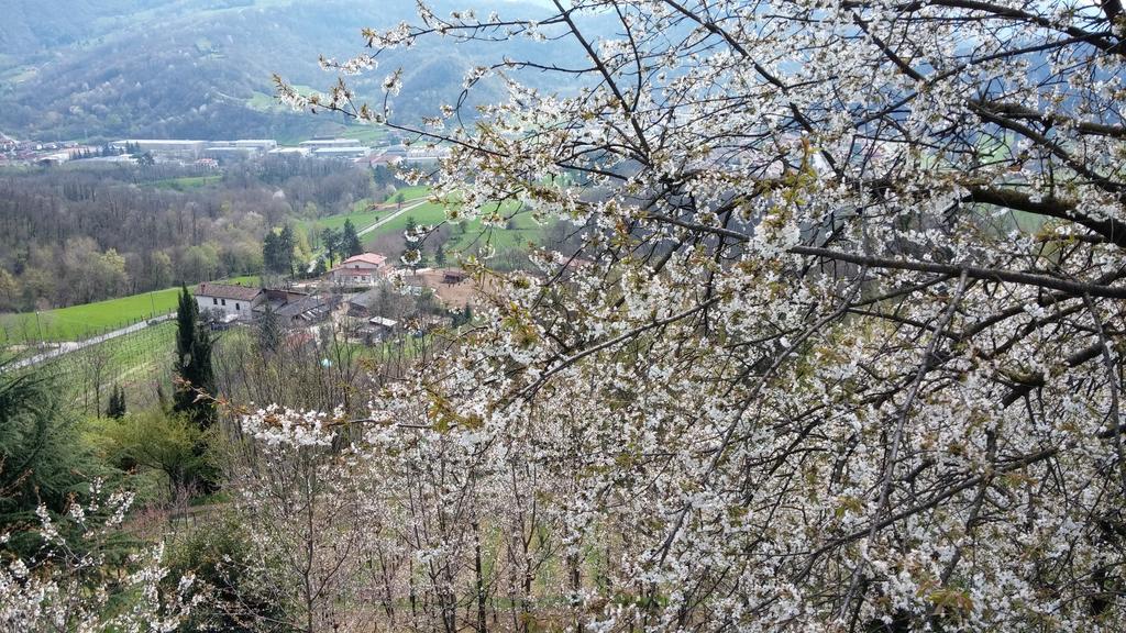 特雷斯科勒·巴尔内阿尼奥Agriturismo Il Mirabile住宿加早餐旅馆 外观 照片